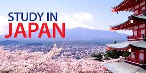 DepEd K-12 New KINDERGARTEN Daily Lesson Log Complete (DLL)