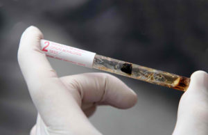 DepEd refuses to conduct drug test